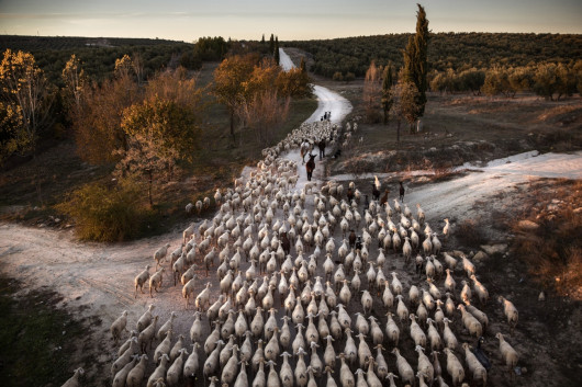 fot. Susana Giron,  I miejsce w kategorii Journeys & Adventures Siena International Photo Awards 2019