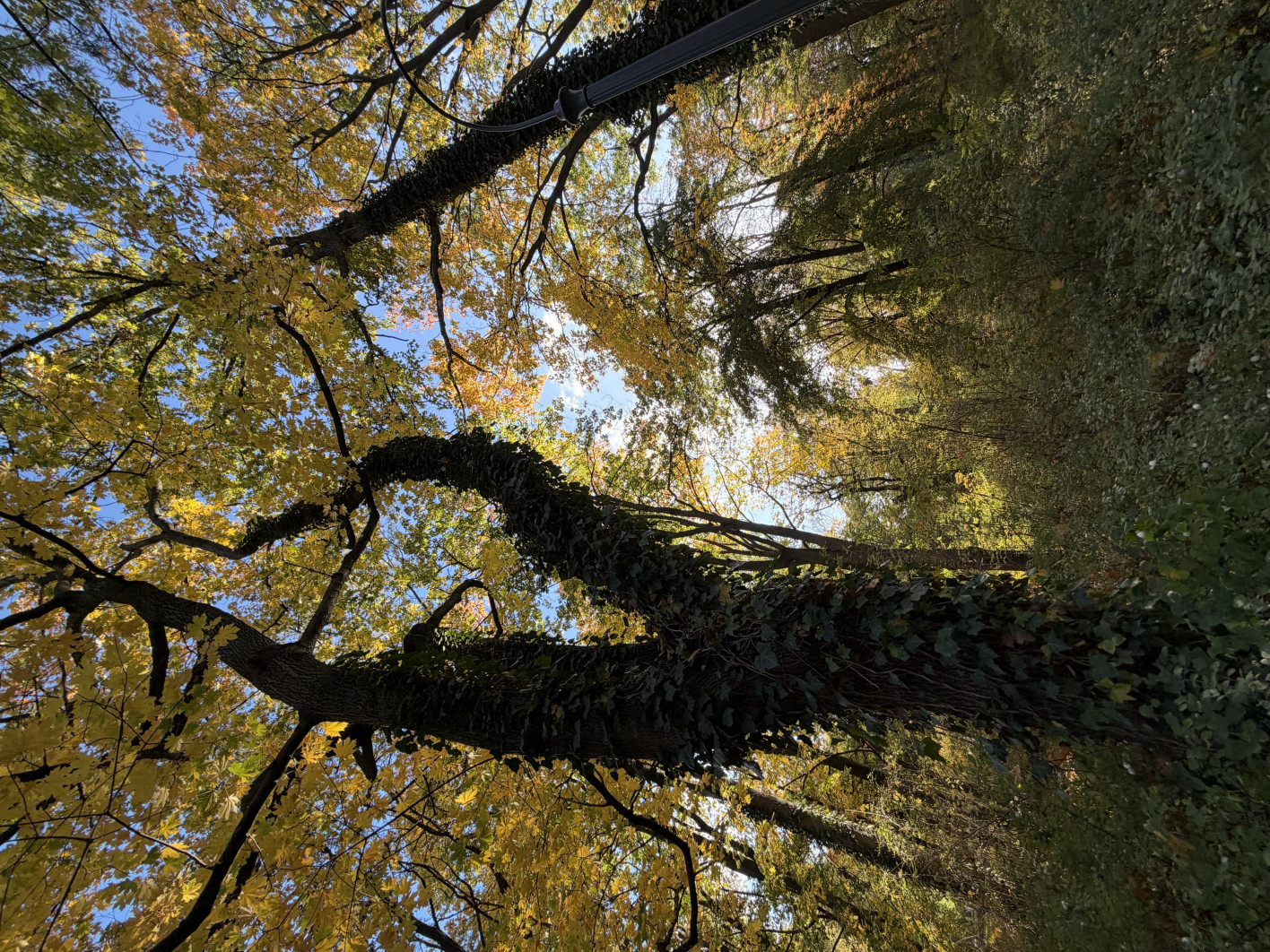 1/186 s, f/2.2, ISO 50, 2.2 mm