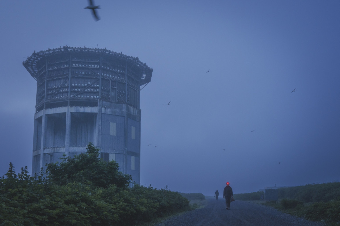 fot. Morgan Heim, "Barometer Birds", 1. nagroda w kat. Storyboard / Siena International Photo Awards 2023 <br></br><br></br>Opuszczona baza sił powietrznych z czasów zimnej wojny na wyspie Middleton u wybrzeży Alaski przekształciła się w siedlisko dla wielu gatunków ptaków. Wraz z opuszczeniem bazy przez wojsko amerykańskie w połowie lat sześćdziesiątych, stała się ona sanktuarium dla tysięcy ptaków morskich, takich jak rybitwy czarnonogie, kormorany, maskonury, alczyki i mewy pospolite. Niewielka grupa międzynarodowych naukowców zamieszkała na wyspie, aby badać ptaki i uczyć się o zmieniającym się stanie naszych oceanów. Ptaki te służą jako ważny wskaźnik głębokości oceanu i stanu rybołówstwa, zwłaszcza w obszarach poza zasięgiem człowieka.