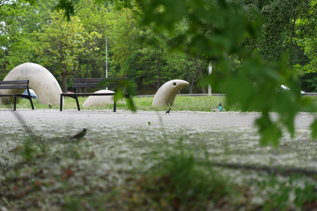 1/640 s, f/2, ISO 100, 70.0 mm