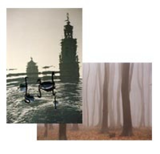 Błyskawiczny konkurs fotograficzny - kolejne galerie