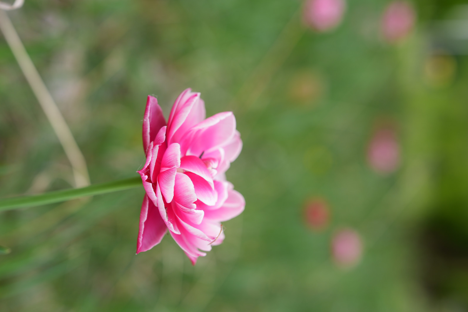 1/100 s, f/4, ISO 100, 70.0 mm
