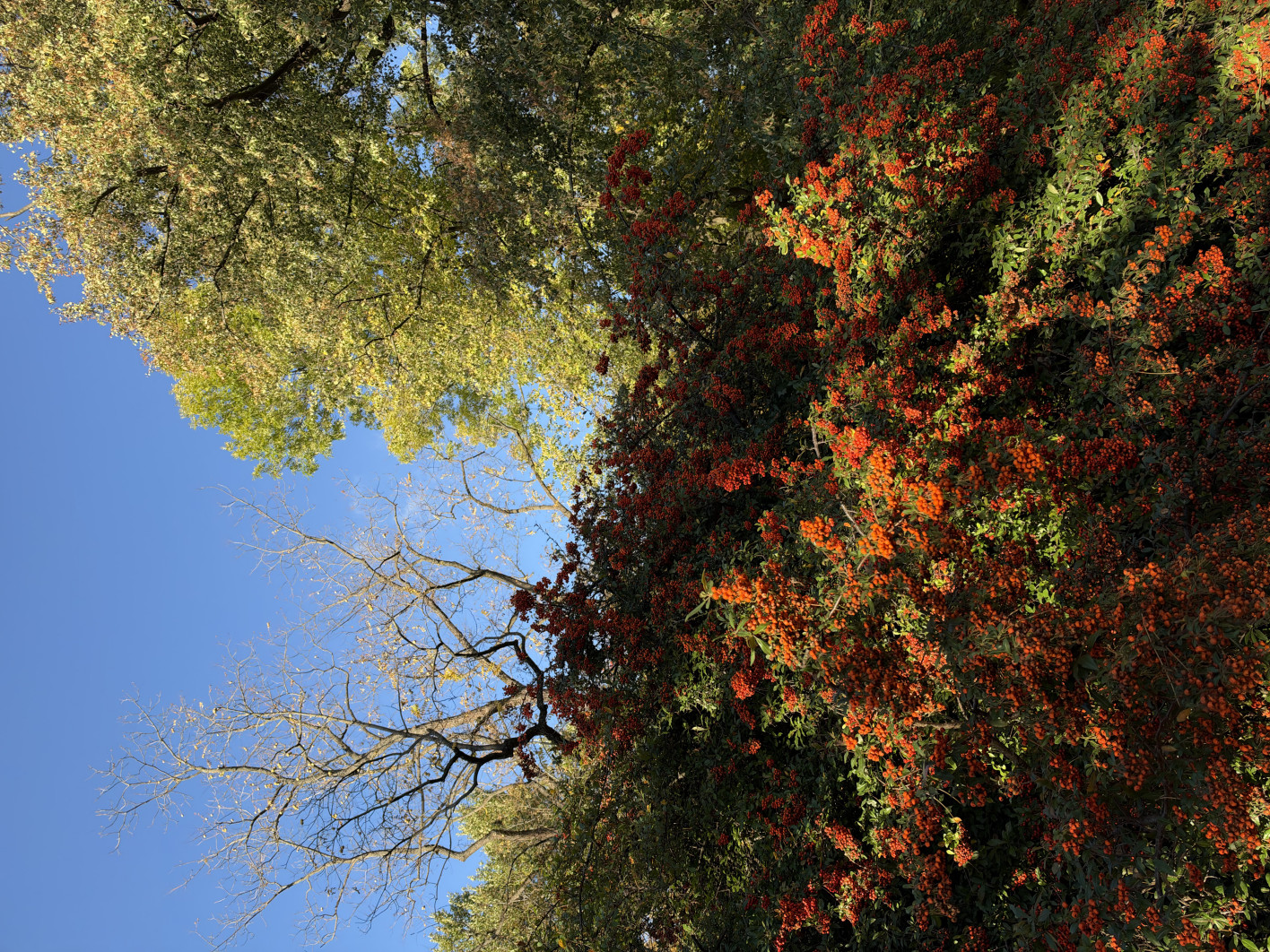 1/906 s, f/1.8, ISO 64, 6.9 mm
