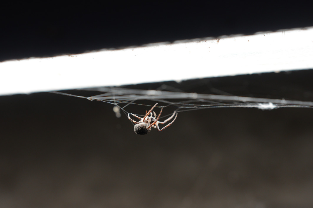 1/320 s, f/4, ISO 800, 70.0 mm