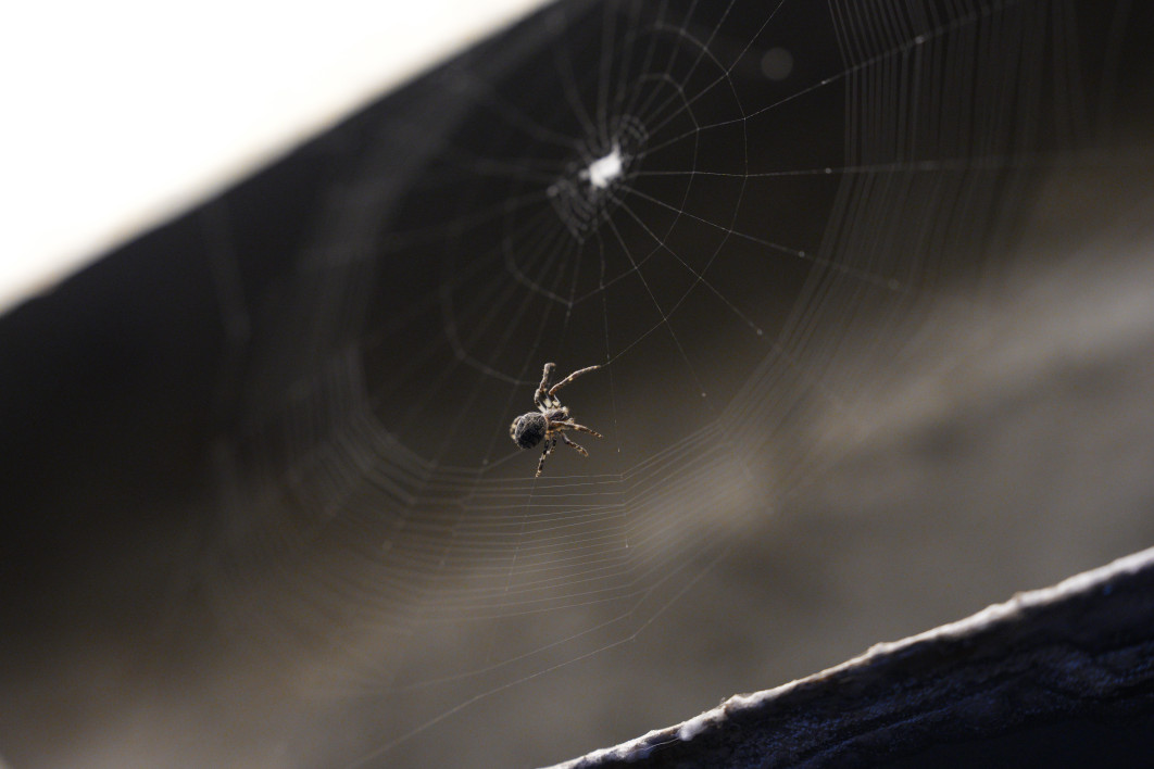 1/320 s, f/4, ISO 4000, 70.0 mm