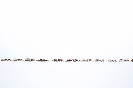 fot. Oded Wagenstein, z projektu Forgotten Like Last Year's Snow