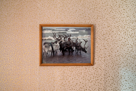 fot. Oded Wagenstein, z projektu Forgotten Like Last Year's Snow