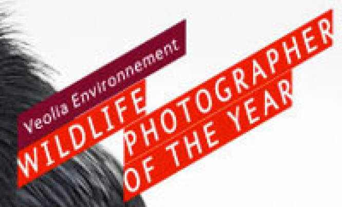  Konkurs Wildlife Photographer of the Year 2013