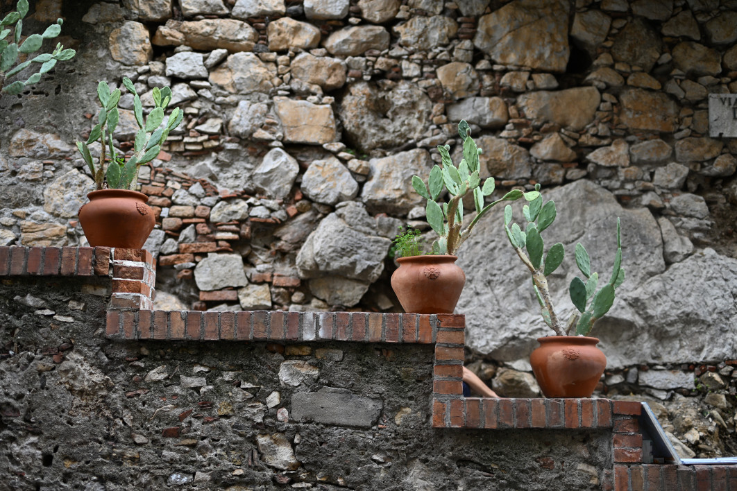1/640 s, f/2, ISO 200, 50.0 mm