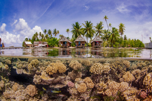 Taeyup Kim, laureat Up & Coming Underwater Photographer of the Year 2019
