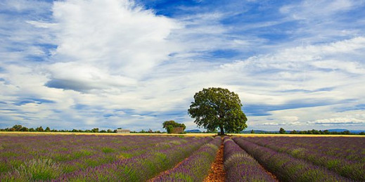 Foto porady Szkoły Perfekcyjnej Fotografii na fotopolis.pl - "Fotografujemy pejzaże: rola linii horyzontu”