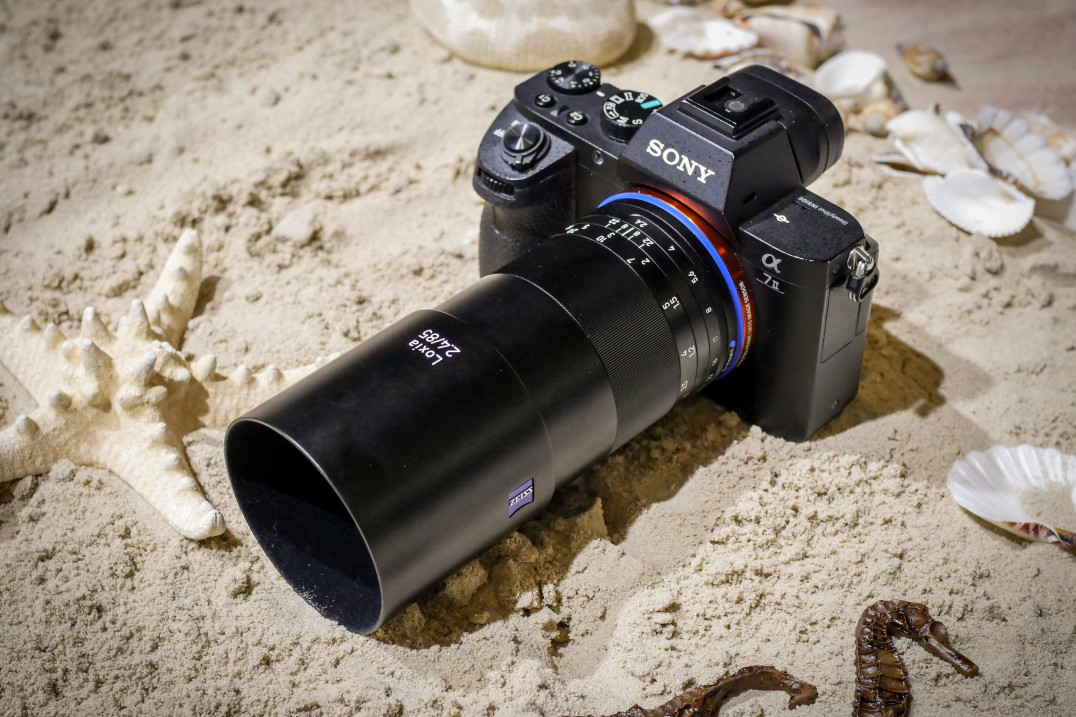 Zeiss Loxia 85 mm f/2.4 - zdjęcia przykładowe