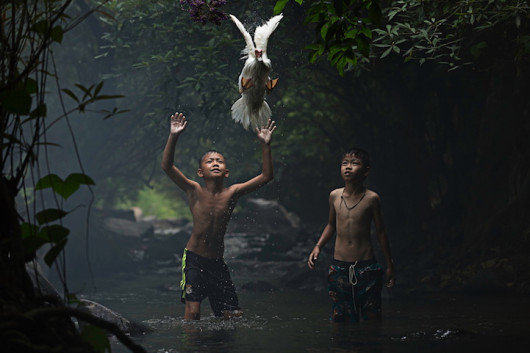 Wyróżnienie, fot. Sarah Wouters, Catching a Duck