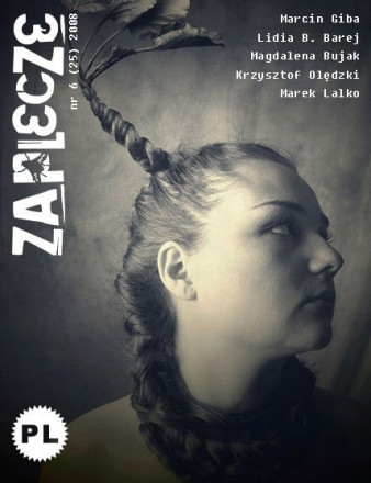Zaplecze.com - 06/2008