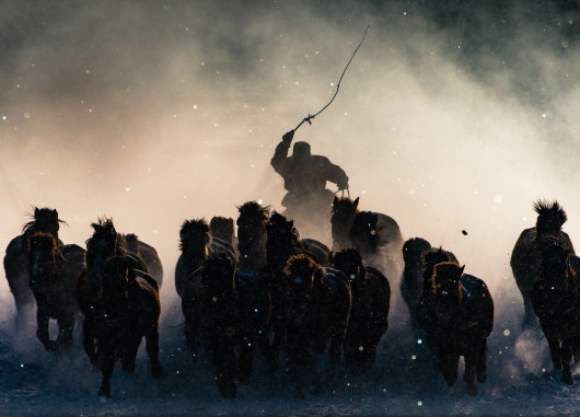 fot. Anthony Lau, Winter Horseman, National Geographic Travel Photographer of the Year 2016