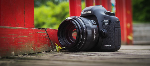 Yongnuo YN 85 mm f/1.8 - zdjęcia przykładowe