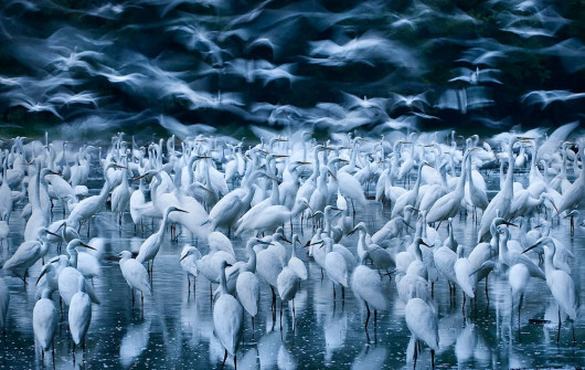 fot. Zsolt Kudich, Niemcy