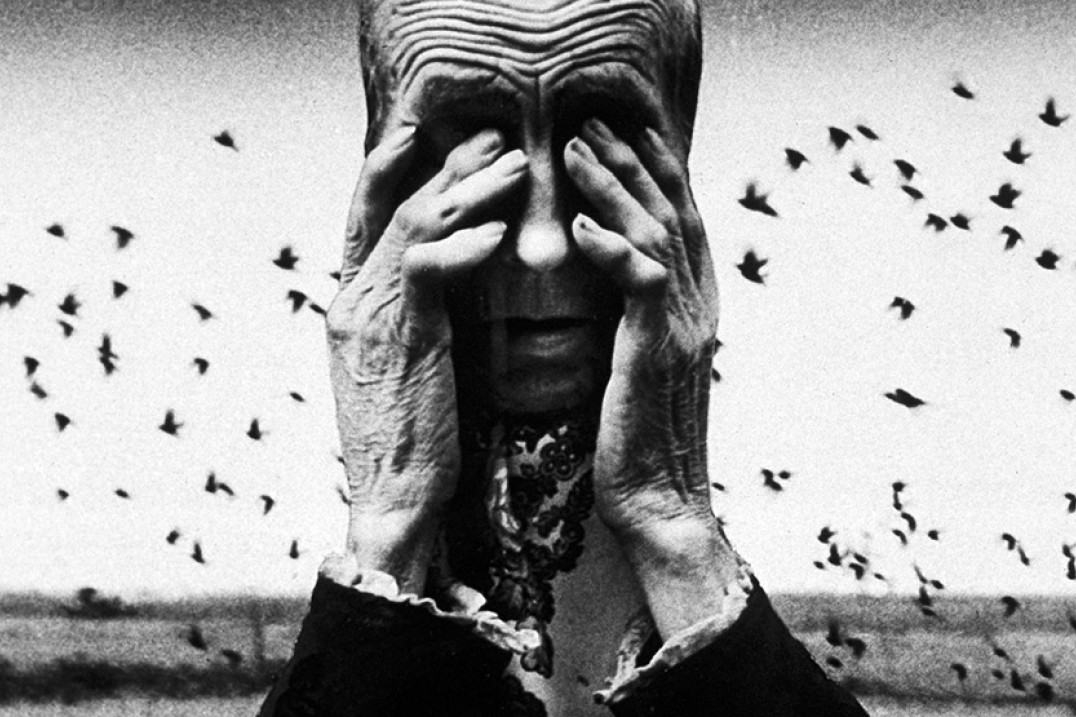 Co łączy twórców ze Śląska? Przekonaj się z albumem „Śląska Fotografia Artystyczna”