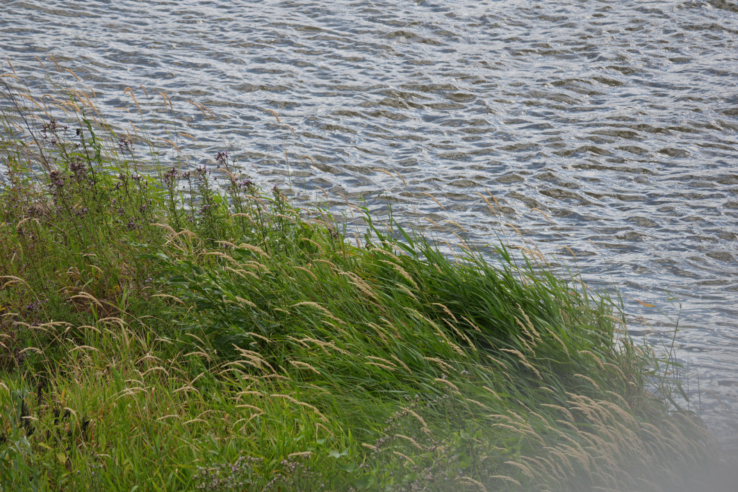 1/400 s, f/4, ISO 100, 3328.0 mm