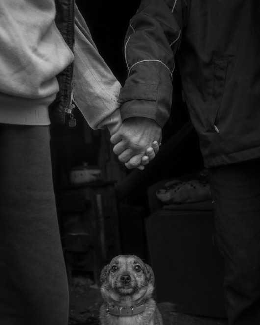 Fot. Maciej Grzybowski, 1. miejsce w kat. Documentary Project / Grand Press Photo 2024Ela, Darek i Mirek są w bezdomności od wielu lat. Mieszkają w lesie nad rzeką, na obrzeżach miasta. Opiekują się dwoma psami Florą i Jogim. Ela przez kilkanaście lat pracowała w zakładach farmaceutycznych. Jest wdową, jej syn mieszka za granicą. Obecnie bezrobotna. Darek, partner Eli, podejmuje się prac dorywczych na budowach i w firmach sprzątających miasto. Sam zbudował wszystkie domki. Mirek pochodzi z Pomorza, jest wolnym duchem. Często wychodzi w nocy zbierać złom, który potem sprzedaje.
W Polsce około 30 tysięcy osób znajduje się w kryzysie bezdomności, z czego ponad 80 proc. stanowią mężczyźni.
