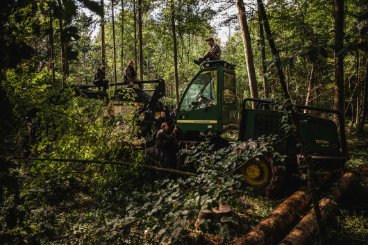 Krystian Maj - Białowieża 27.09.2017 Harvester zatrzymany przez ekologów podczas wycinki na terenie, gdzie limity pozyskania drewna zostały już dawno przekroczone.