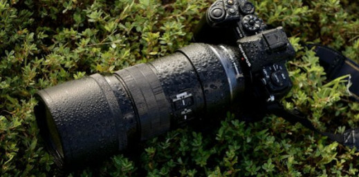 Olympus M.Zuiko DIGITAL ED 300 mm f/4 IS PRO - teleobiektyw dla profesjonalistów
