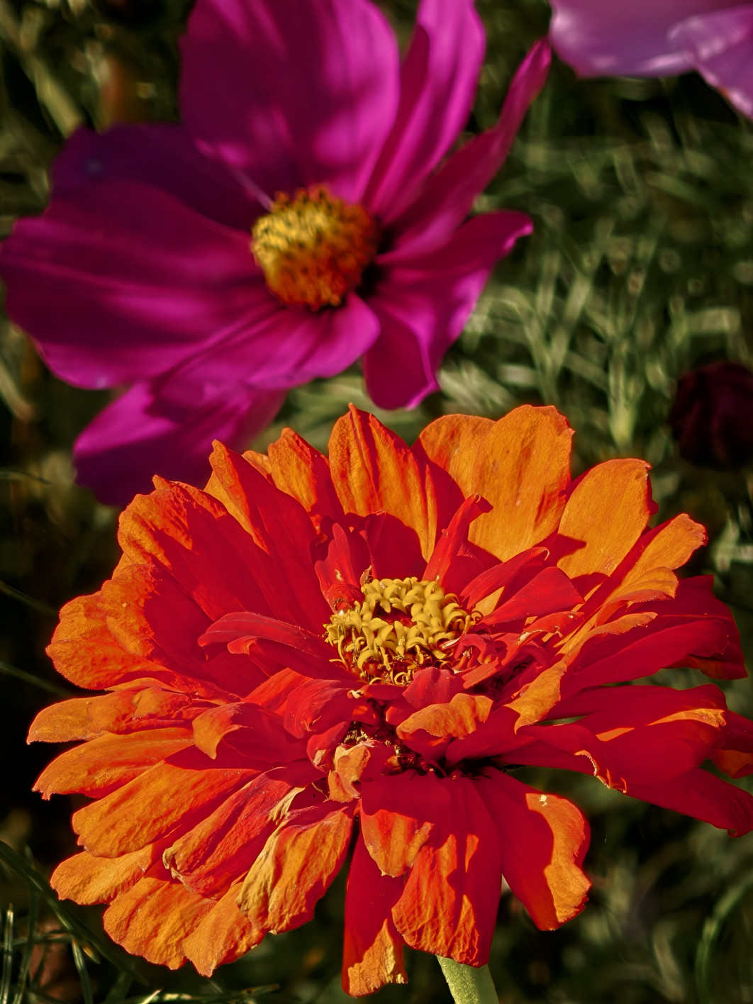 1/1204 s, f/2.1, ISO 50, 16.5 mm