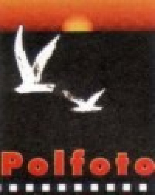 POLFOTO 2002 czyli lista nieobecnych