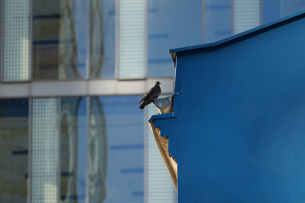 1/250 s, f/4, ISO 100, 1331.2 mm