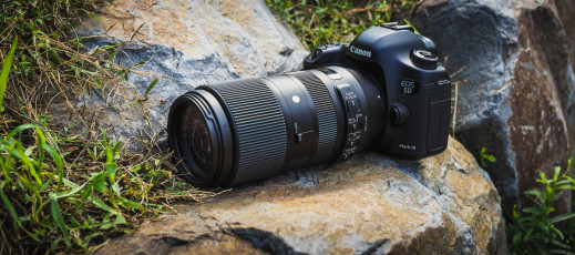 Sigma 100-400 mm f/5-6.3 DG OS HSM Contemporary - zdjęcia przykładowe