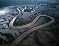Pokonkursowa wystawa Wildlife Photographer of the Year 2006 w Szczecinie