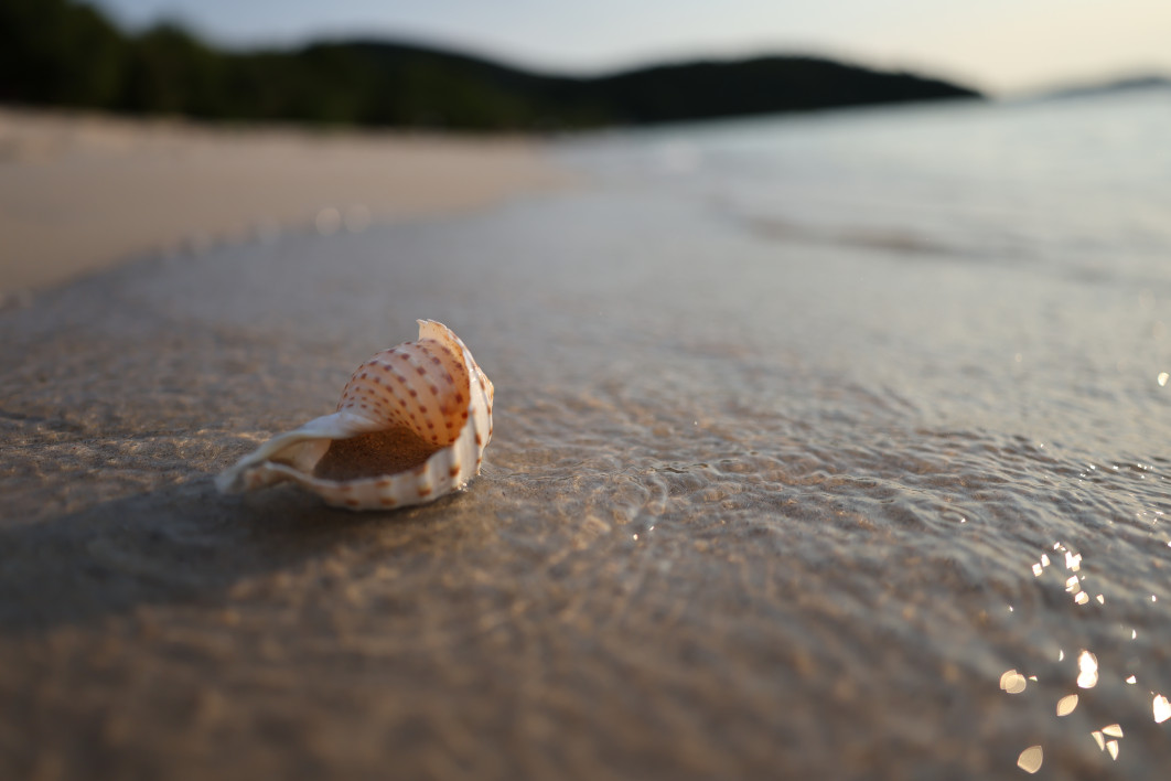 1/8000 s, f/1.4, ISO 100, 20.0 mm