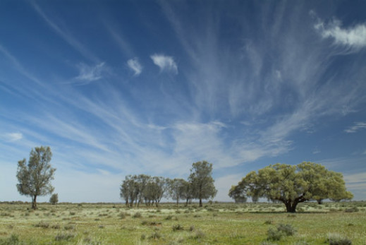 "Terra Australis" Mateusza Torbusa w Mleczarni