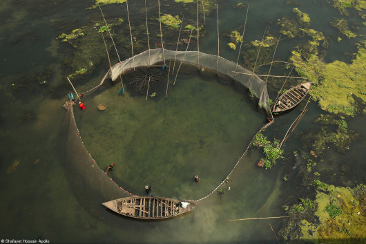 © Shafayet Hossain Apollo, II miejsce w kategorii Bring Home the Harvest