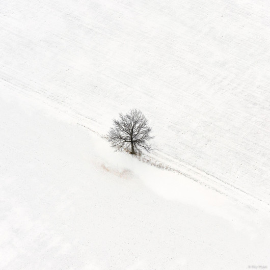 fot. Filip Wolak Lone Tree