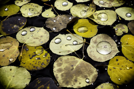 fot. Morgan Wolfers / tpoty.com