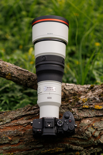 Sony FE 600 mm f/6.3 GM OSS - test praktyczny i zdjęcia przykładowe [+RAW do pobrania]