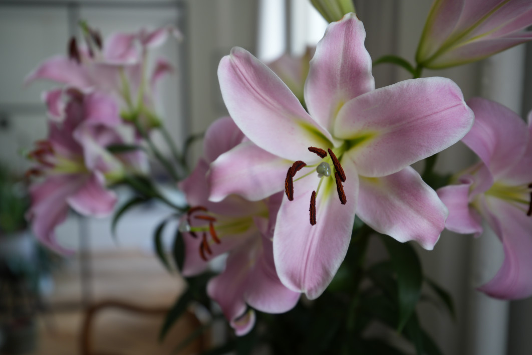 1/30 s, f/2,8, ISO 160, 30 mm 