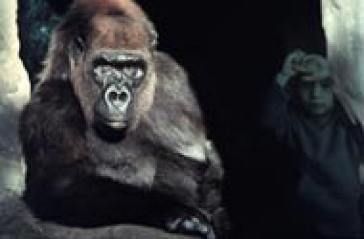 Konkurs Wildlife Photographer of the Year 2003 rozstrzygnięty!