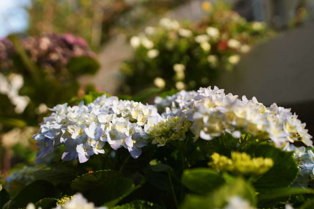 1/3200 s, f/2.8, ISO 400, 34.0 mm