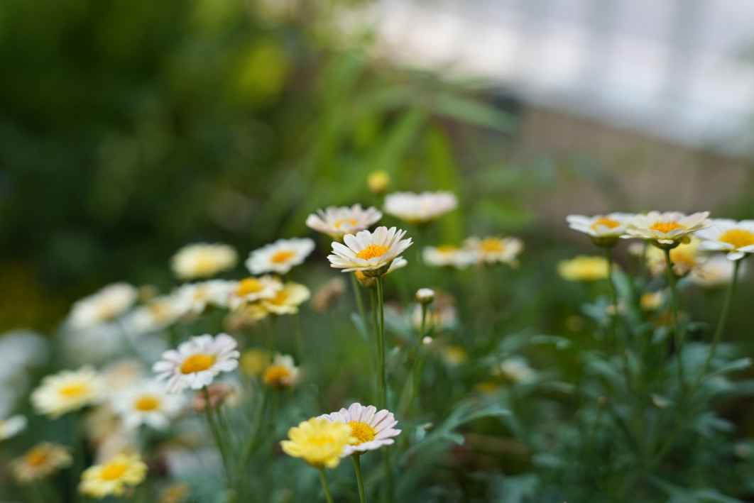 1/1000 s, f/2.8, ISO 400, 50.0 mm