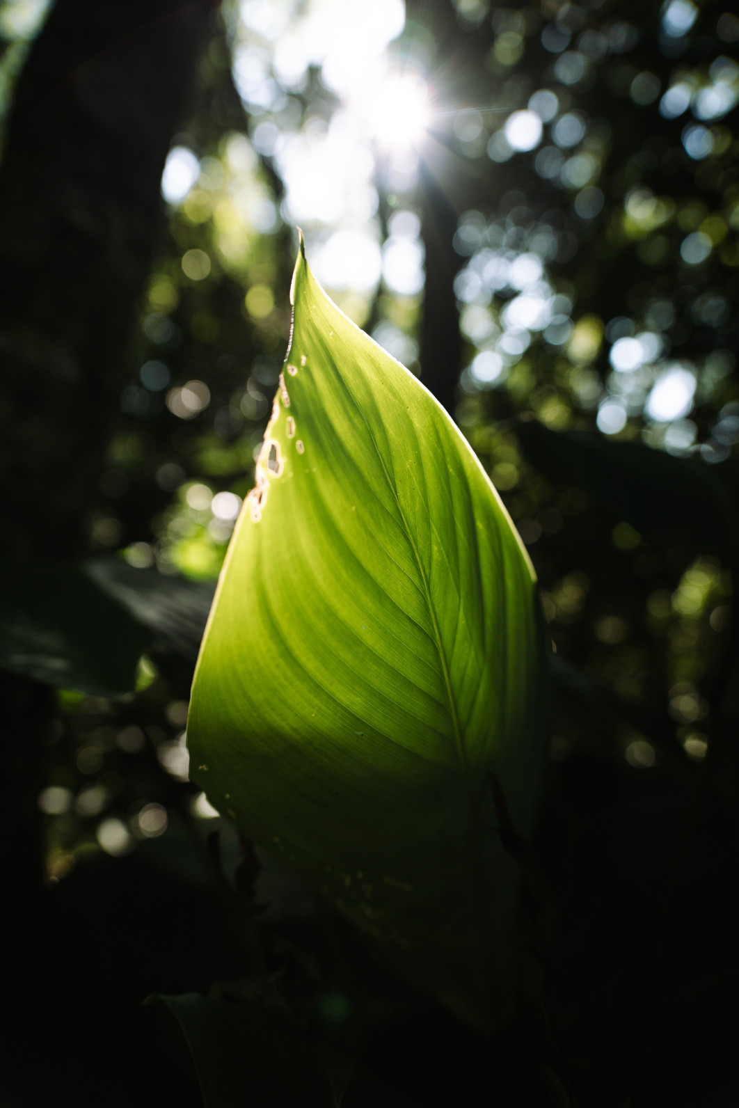 1/1000 s, f/2.8, ISO 500, 24.0 mm
