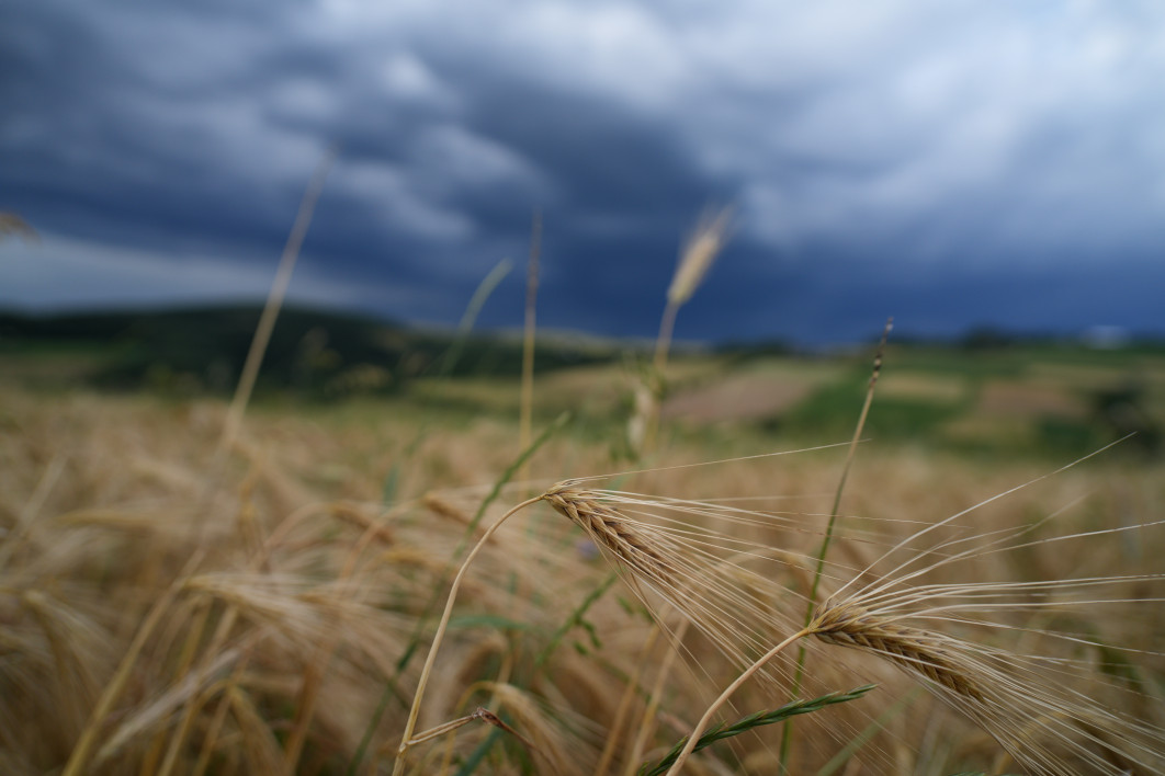 1/1250 s, f/2.8, ISO 200, 24.0 mm