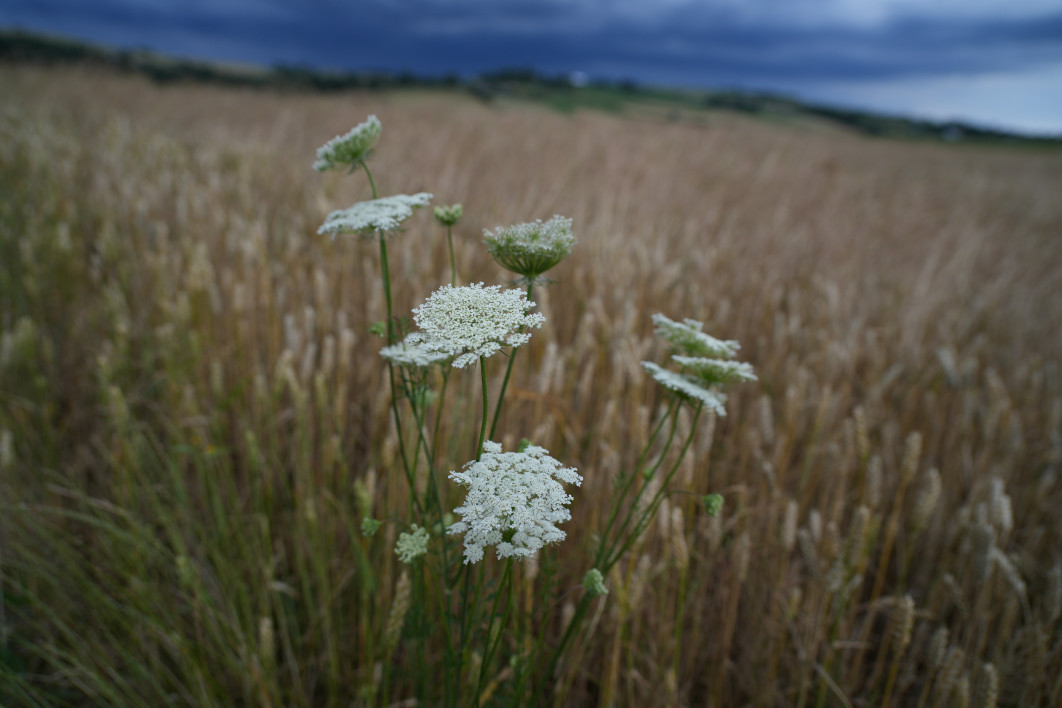 1/400 s, f/2.8, ISO 200, 24.0 mm