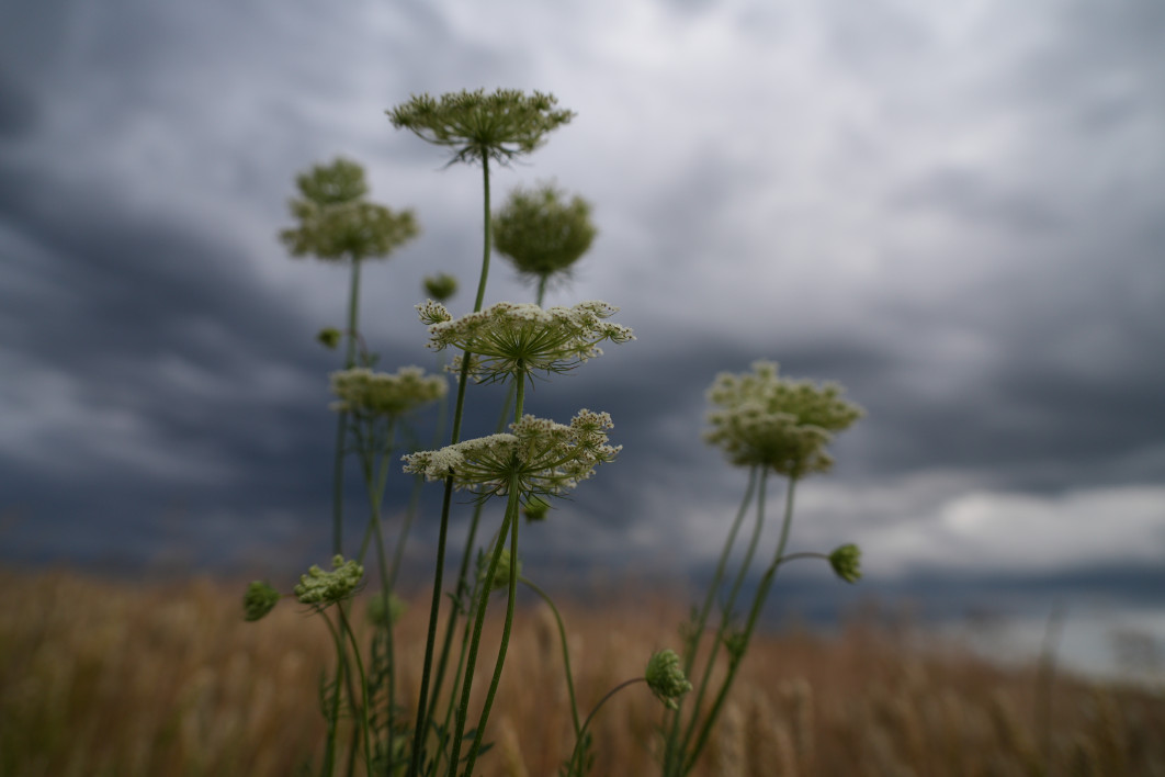 1/800 s, f/2.8, ISO 200, 24.0 mm