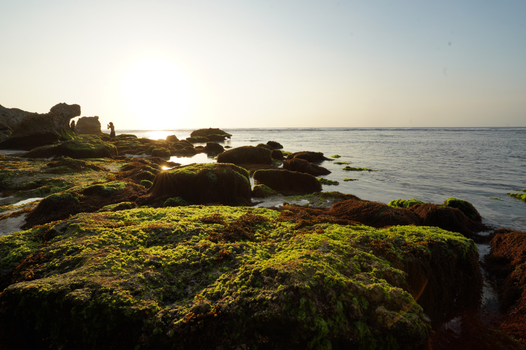1/125 s, f/13, ISO 160, 17 mm