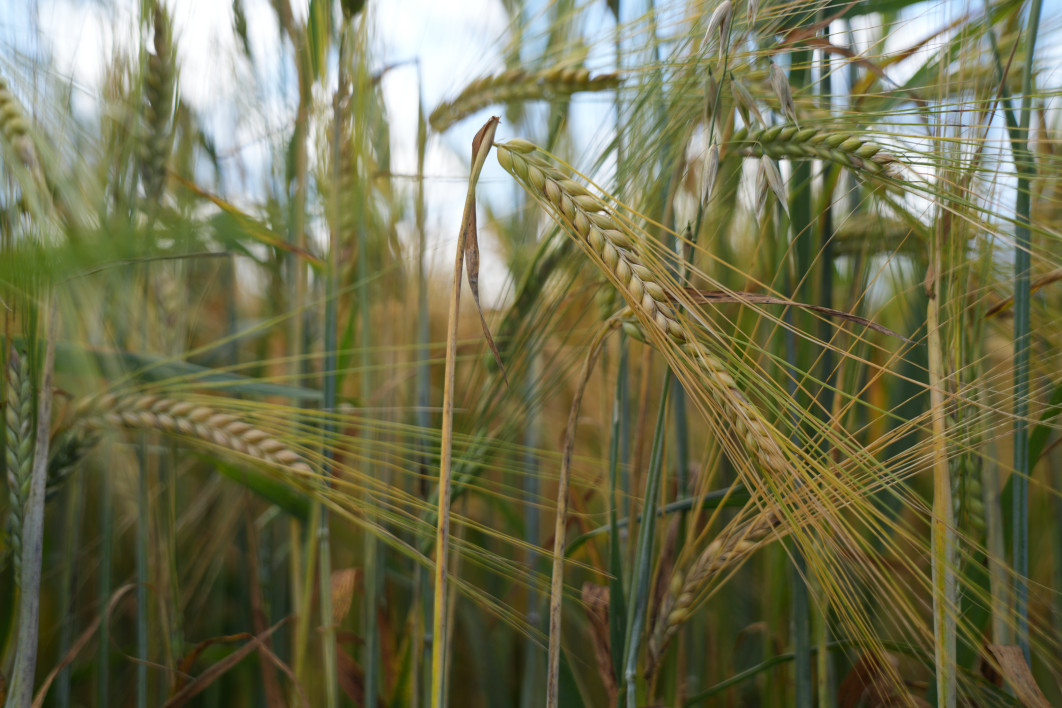 1/1600 s, f/2.8, ISO 320, 49.0 mm