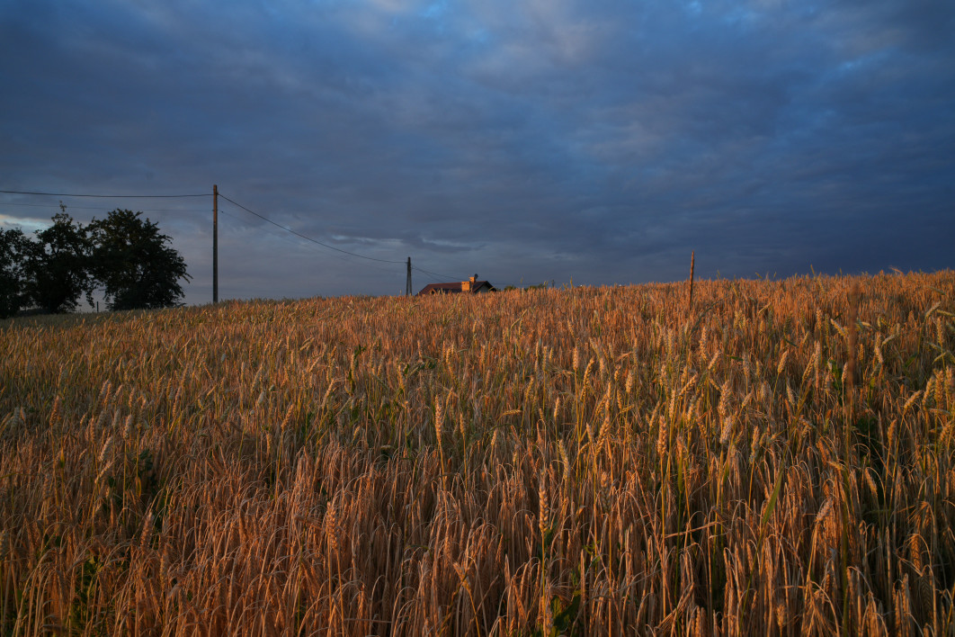 1/50 s, f/10, ISO 320, 24.0 mm