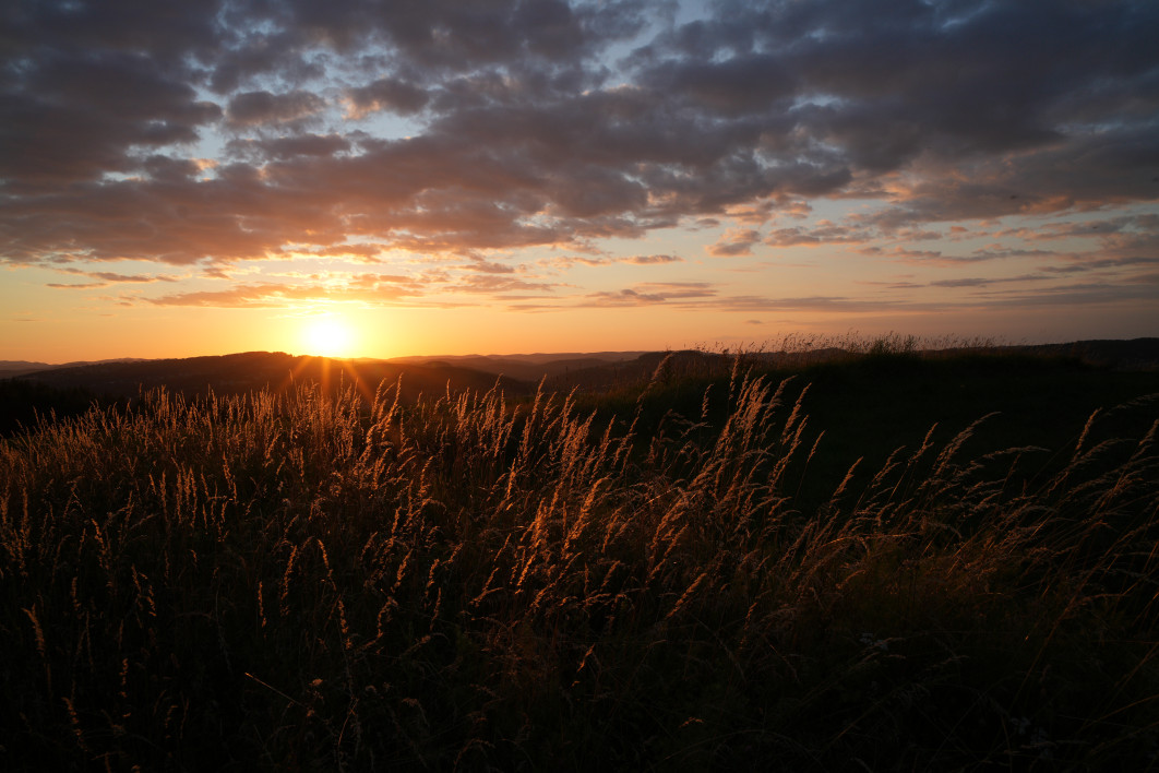 1/200 s, f/11, ISO 320, 24.0 mm