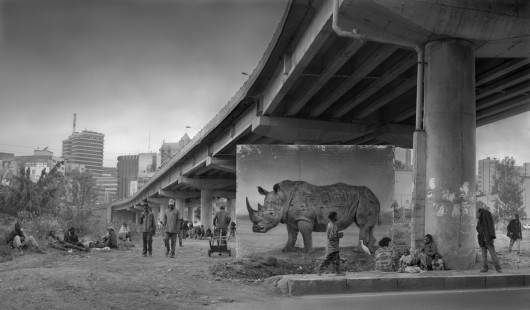 fot. Nick Brandt, Underpass with Rhino
